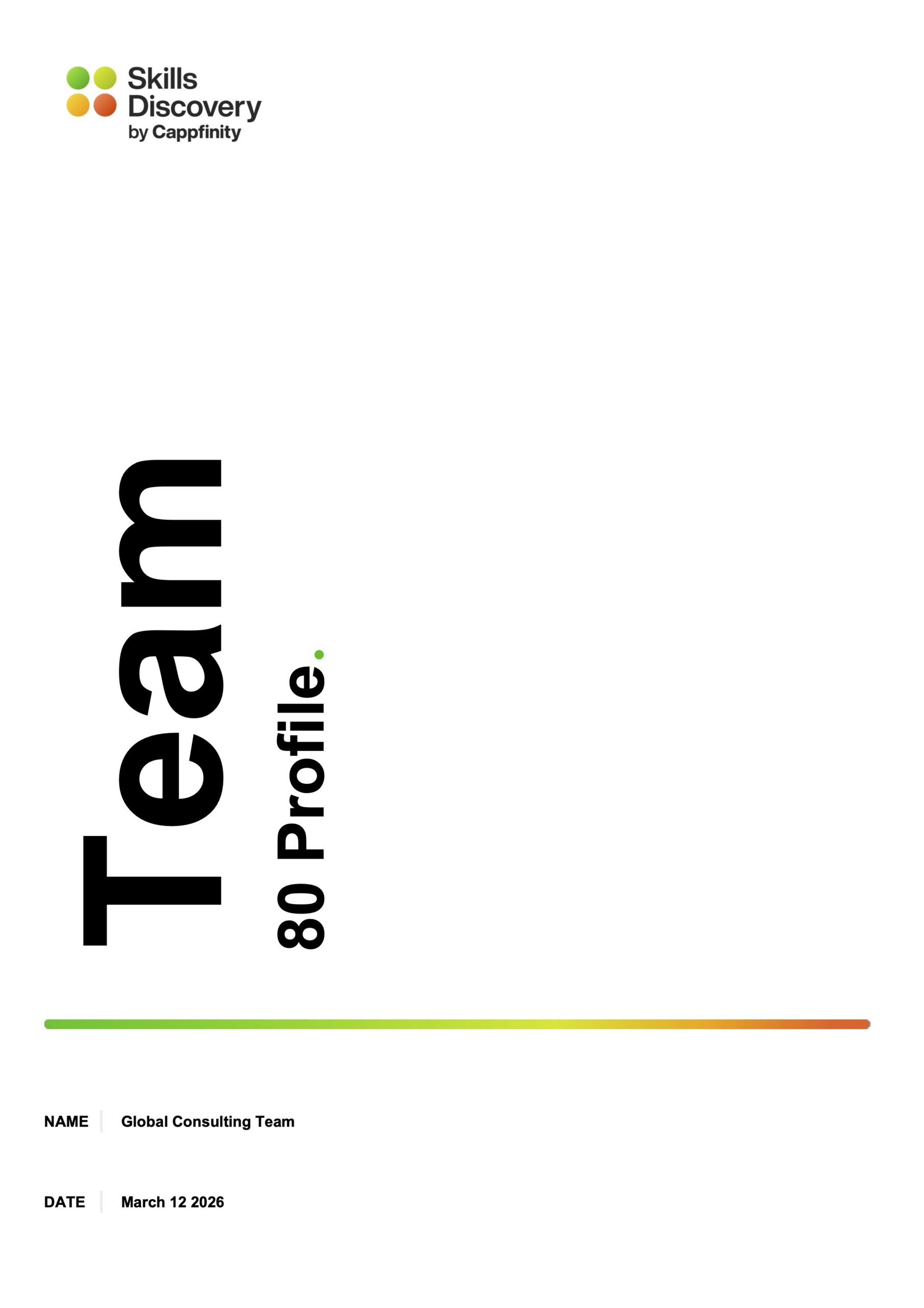 Team Expert Profile 